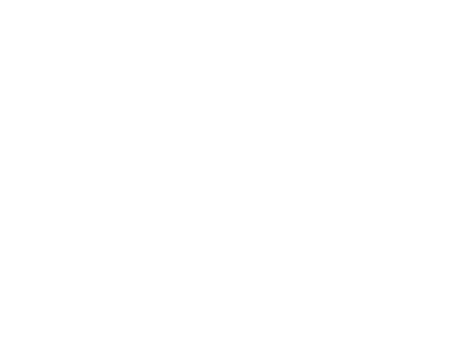 PRO-TEC CarbonX